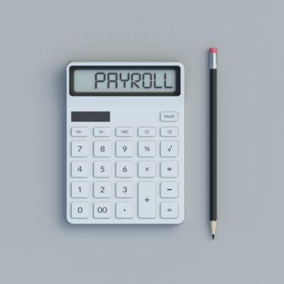 Payroll Service Providers